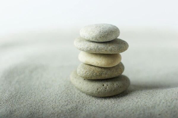 8 Dimensions of Wellness: Engaging Ways to Teach Students and Families About Ways to Increase Health and Wellness